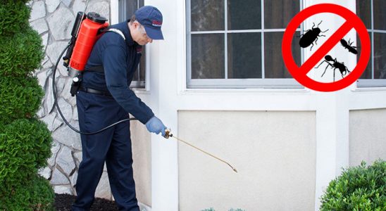 Tokat Bit İlaçlama böcek ilaçlama ve haşere kontrolü — ilaclama-tr.com